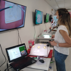 LapBodySim Simulador de Laparoscopía en internet