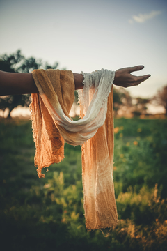 Pashmina Solidago