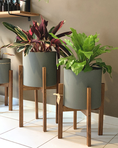 Maceta 26 cm + Soporte + Planta - comprar online