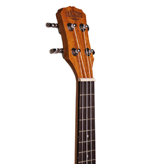 UKULELE MALIBU CONCERT SAPELE 23S - Smusic Instrumentos Musicais