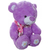 URSO DE PELÚCIA LILAS COM CACHECOL - comprar online