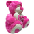 URSO DE PELÚCIA LOVE ROSA - comprar online