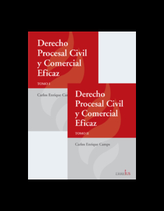 E-Book - Derecho Procesal Civil Y Comercial Eficaz. Páginas 1920. Fecha De Publicación 2018-11-20 . Autor Camps, Carlos Enrique. Editorial: Errepar/Erreius