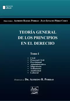 TEORÍA GENERAL DE LOS PRINCIPIOS EN EL DERECHO TOMO 1 Directores: Alfredo Rafael Porras - Juan Ignacio Perez Curci. Páginas: 695. Fecha: Diciembre 2022. Editorial: ASC Libros Jurídicos - comprar online