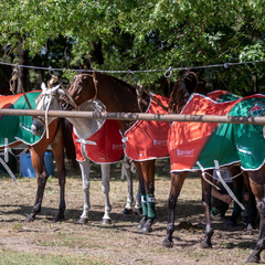 Manta de Cancha Técnica La Cañada Polo, manta para caballos.