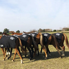 Manta de Cancha para caballo de Polo, Diseño personalizado Audi, Manta de tela deportiva