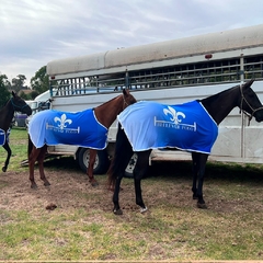 Manta de Cancha para caballo de Polo, Diseño sublimado personalizado, Manta de tela deportiva Australia