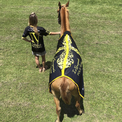 Manta de Cancha Técnica y Camiseta de Polo haciendo juego La Guapeada Polo, manta para caballos.