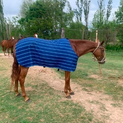 Manta de Cancha para caballo de Polo rayada, Diseño sublimado personalizado, Manta de tela deportiva