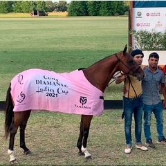 Manta de Polo, Manta de Premoción, Manta de Presentación, Torneo de Polo, Manta Mejor Caballo, Manta Mejor Ejemplar, Cria Polo Argentino, Caballos, Caballos de Polo, Manta La Dolfina Polo, Manta Polo Femenino