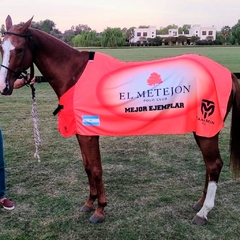 Manta sudadera para caballos argentinos sale