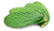 NOPAL LIMPIO 500 grs