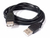 CABLE EXTENSION USB 2.00 (3MTRS) USB A/A3 709516