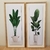 Cuadros duo Plantas