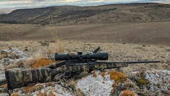 MIRA ELITE 4500 4-16X50 BUSHNELL en internet