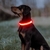 Collar para Mascotas con Luz LED - Rojo, Seguridad y Estilo para tus Paseos Nocturnos 