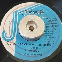 7'' Alton Black – What You Want Me To Do / Version (Jammy's Records) VG+