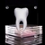 Conjunto de 6 dentes de modelo anatômico - comprar online