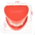 Modelo de prótese dental, modelo para ensino de prótese dentária na internet