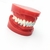 Modelo de prótese dentária, modelo padrão de mandíbula, modelo de ensino de prótese dentária de demonstração na internet