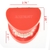 Modelo de prótese dental, modelo para ensino de prótese dentária - loja online