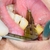 Régua guia de posicionamento de implante dentário na internet