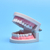 Modelo Teeth Ensino Oral Dental - comprar online