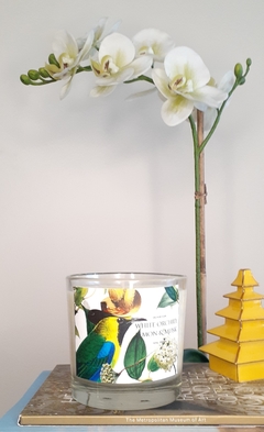 Vela aves White orchid, Lemon & Musk - emcandlemakers