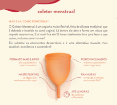 Copinho Coletor menstrual Korui + Copo Esterilizador - comprar online