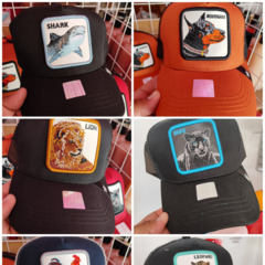 GORRAS ANIMALES ESTAMPADO 1 PZA - tienda en línea