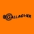 Gallagher MBS200 - comprar online