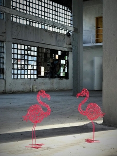 Flaminguinho na internet