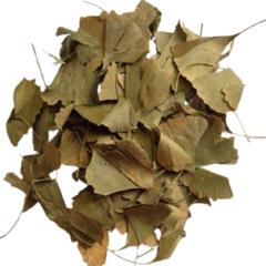 Ginkgo Biloba hojas secas x 100 gr