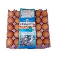 Maple de huevos orgánicos certificados Coeco x 30 unidades
