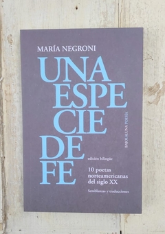 Una Especie De Fe - María Negroni