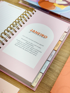 PLANNER SLIM - ORGANIZADA na internet