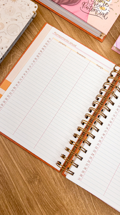 PLANNER A5 - ORGANIZADA - comprar online