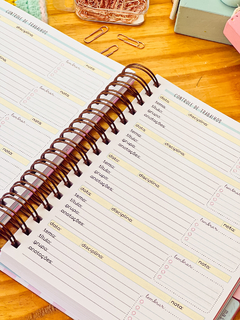 PLANNER DE ESTUDO - loja online