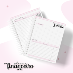 PLANNER FINANCEIRO PESSOAL FEMININO - N COISAS