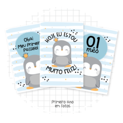 PINGUIM - comprar online