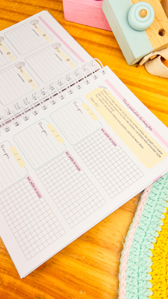 PLANNER DEVOCIONAL OU CADERNO DE MINISTRAÇÃO - N COISAS