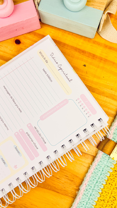 PLANNER DEVOCIONAL OU CADERNO DE MINISTRAÇÃO - comprar online