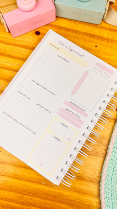 PLANNER DEVOCIONAL OU CADERNO DE MINISTRAÇÃO - N COISAS