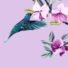 Conjunto Purple Bird en internet