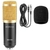 BM-800 Professional Condenser Microphone Kit para Computer