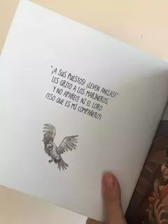 DIARIO DE UN PIRATA - Mónica López , Valeria Dávila - "Con la cabeza en la luna" Literatura infantil