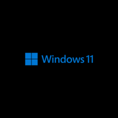 Windows 11