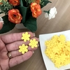 Mini Florzinha Prensada Amarelo - 25 unidades