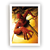 Quadro Homem Aranha 2002 - comprar online