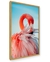 Quadro Flamingo Rosa - Bella art Quadros